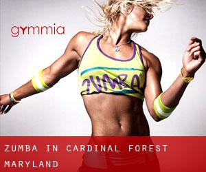 Zumba in Cardinal Forest (Maryland)