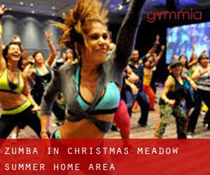 Zumba in Christmas Meadow Summer Home Area