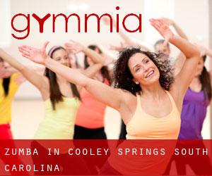 Zumba in Cooley Springs (South Carolina)
