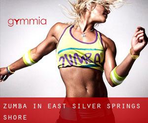Zumba in East Silver Springs Shore