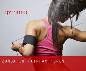 Zumba in Fairfax Forest