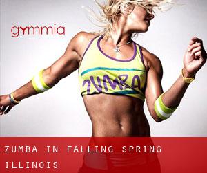 Zumba in Falling Spring (Illinois)