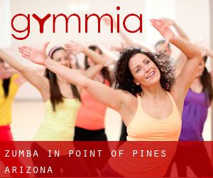 Zumba in Point of Pines (Arizona)