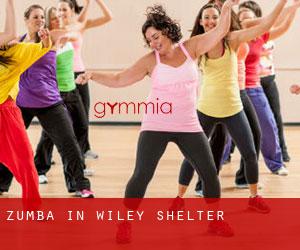 Zumba in Wiley Shelter