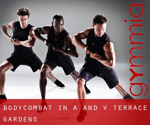 BodyCombat in A and V Terrace Gardens