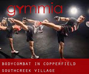 BodyCombat in Copperfield Southcreek Village