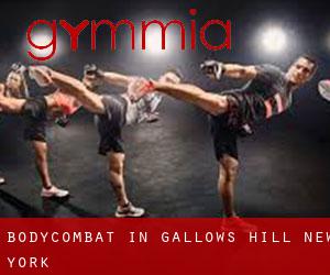 BodyCombat in Gallows Hill (New York)