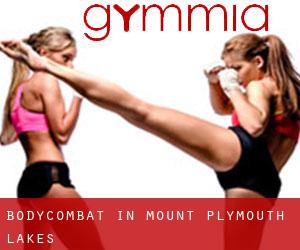 BodyCombat in Mount Plymouth Lakes