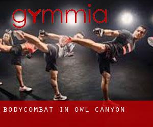 BodyCombat in Owl Canyon