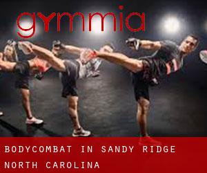 BodyCombat in Sandy Ridge (North Carolina)