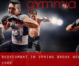 BodyCombat in Spring Brook (New York)