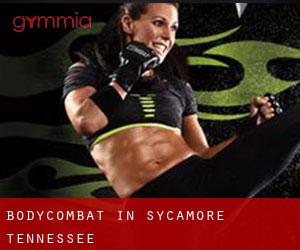 BodyCombat in Sycamore (Tennessee)