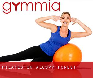 Pilates in Alcovy Forest