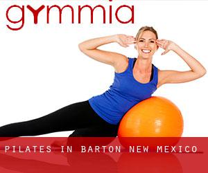 Pilates in Barton (New Mexico)
