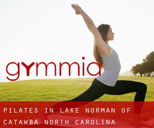 Pilates in Lake Norman of Catawba (North Carolina)