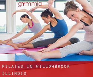 Pilates in Willowbrook (Illinois)