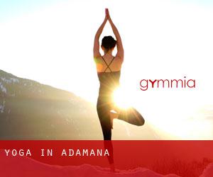 Yoga in Adamana
