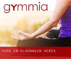 Yoga in Algonquin Acres