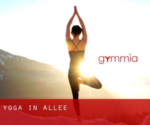 Yoga in Allee