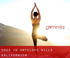 Yoga in Antelope Hills (Kalifornien)