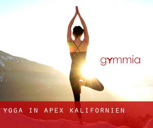 Yoga in Apex (Kalifornien)