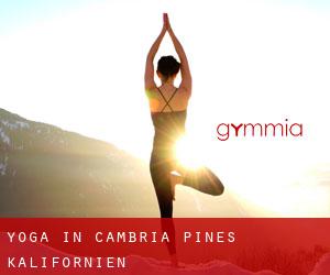 Yoga in Cambria Pines (Kalifornien)