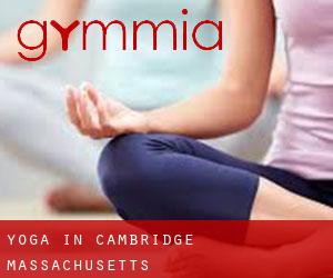 Yoga in Cambridge (Massachusetts)