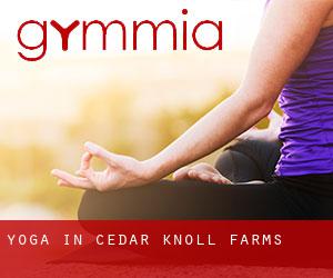 Yoga in Cedar Knoll Farms