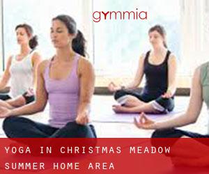 Yoga in Christmas Meadow Summer Home Area