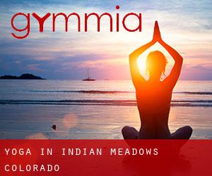 Yoga in Indian Meadows (Colorado)