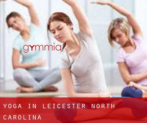Yoga in Leicester (North Carolina)
