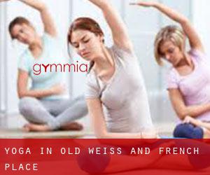 Yoga in Old Weiss and French Place