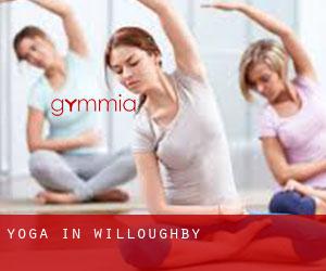 Yoga in Willoughby