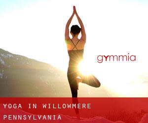 Yoga in Willowmere (Pennsylvania)