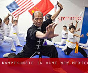 Kampfkünste in Acme (New Mexico)
