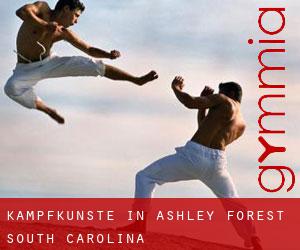 Kampfkünste in Ashley Forest (South Carolina)