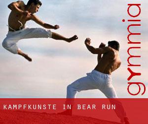 Kampfkünste in Bear Run