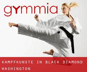 Kampfkünste in Black Diamond (Washington)