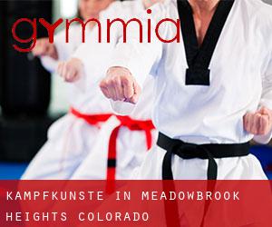 Kampfkünste in Meadowbrook Heights (Colorado)