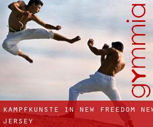 Kampfkünste in New Freedom (New Jersey)