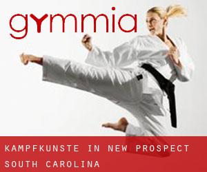 Kampfkünste in New Prospect (South Carolina)