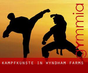 Kampfkünste in Wyndham Farms