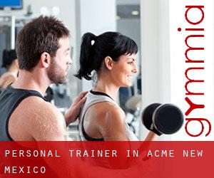 Personal Trainer in Acme (New Mexico)