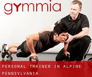 Personal Trainer in Alpine (Pennsylvania)