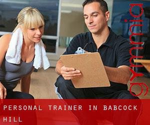 Personal Trainer in Babcock Hill