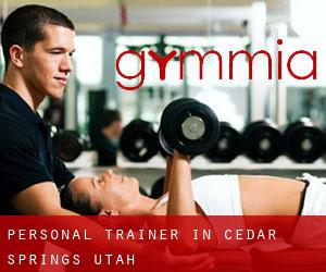 Personal Trainer in Cedar Springs (Utah)