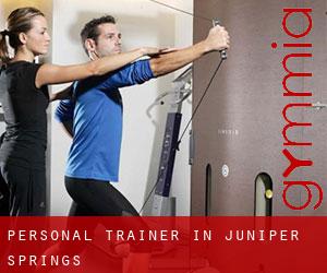 Personal Trainer in Juniper Springs