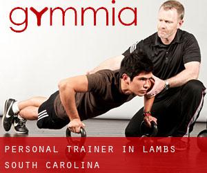 Personal Trainer in Lambs (South Carolina)