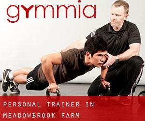 Personal Trainer in Meadowbrook Farm