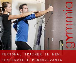 Personal Trainer in New Centerville (Pennsylvania)